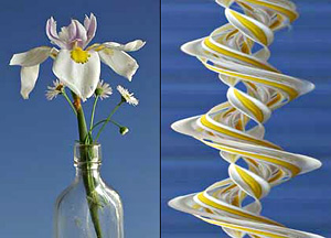 slit scan the fourth dimension